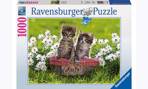 Ravensburger Picnic in the Meadow 1000pc RB19480-3