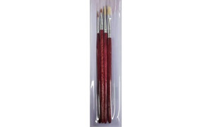 Delta 4 Asst Brushes With Vinyl Pouch DLBS26