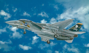 Italeri F - 14 A Tomcat 2667S