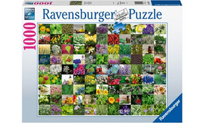 Ravensburger 99 Herbs and Spices 1000pc RB15991-8