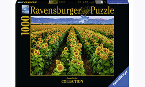 Ravensburger Fields of Gold Puzzle 1000 pieces RB15288-9