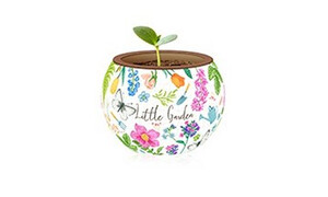 Pintoo Flowerpot Little Garden PINK1054