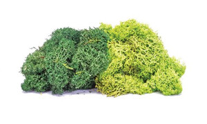 Hornby Lichen Large Green Mix R7195