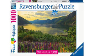 Ravensburger Fjord in Norway Puzzle 1000pc RB16743-2