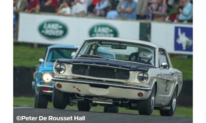 Scalextric Ford Mustang - Bill and Fred Shepherd - Goodwood Revival C4353