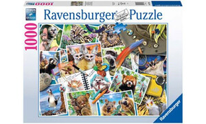 Ravensburger A Traveler's Animal Journal RB17322-8