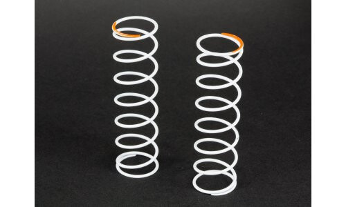 Aarma Big Bore Shock Spring 65mm