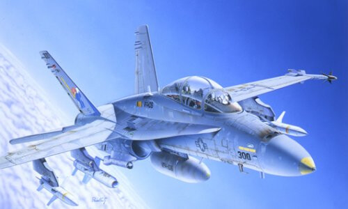 Italeri F/A 18 WILD WEASEL