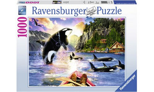 Ravensburger Close Encounters Puzzle 1000pc RB15270-4