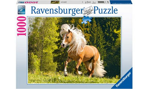 Ravensburger Galloping Along! 1000 pieces RB15009-0