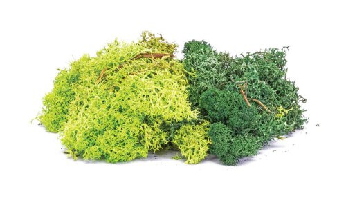 Hornby Lichen Green Mix R7194