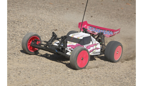 RC 2WD Buggy Zahhak Dn01
 (DN-01) 58477