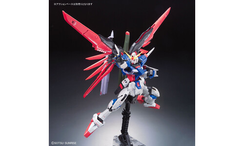 Gundam Destiny Gundam 1/144 RG