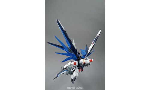 Gundam 1/100 MG Freedom Gundam