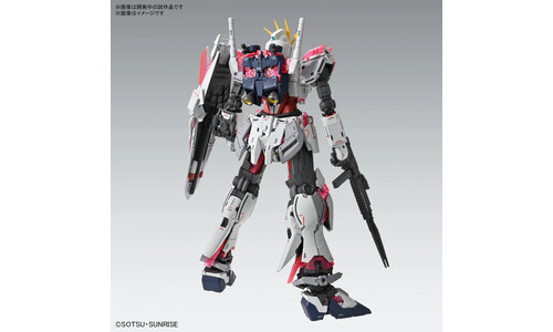 Bandai MG 1/100 Narrative Gundam C-Packs Ver.KA G5066308 Standing